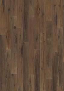 Oak Earth
